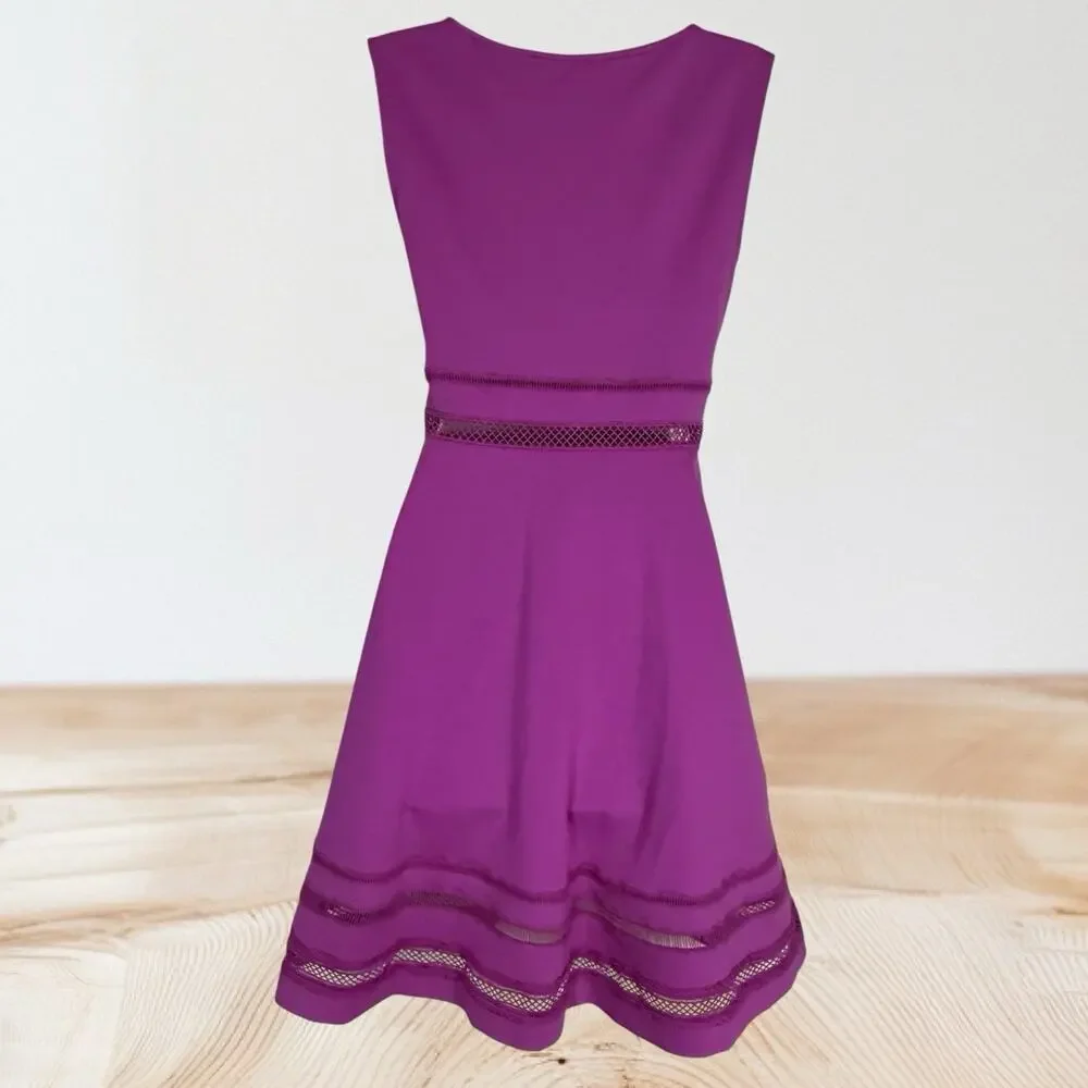 French Connection NWT Fit & Flare Lula Dress Sz‎ 6 Passion Fuchsia Pink $138